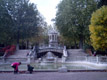 Dijon-1